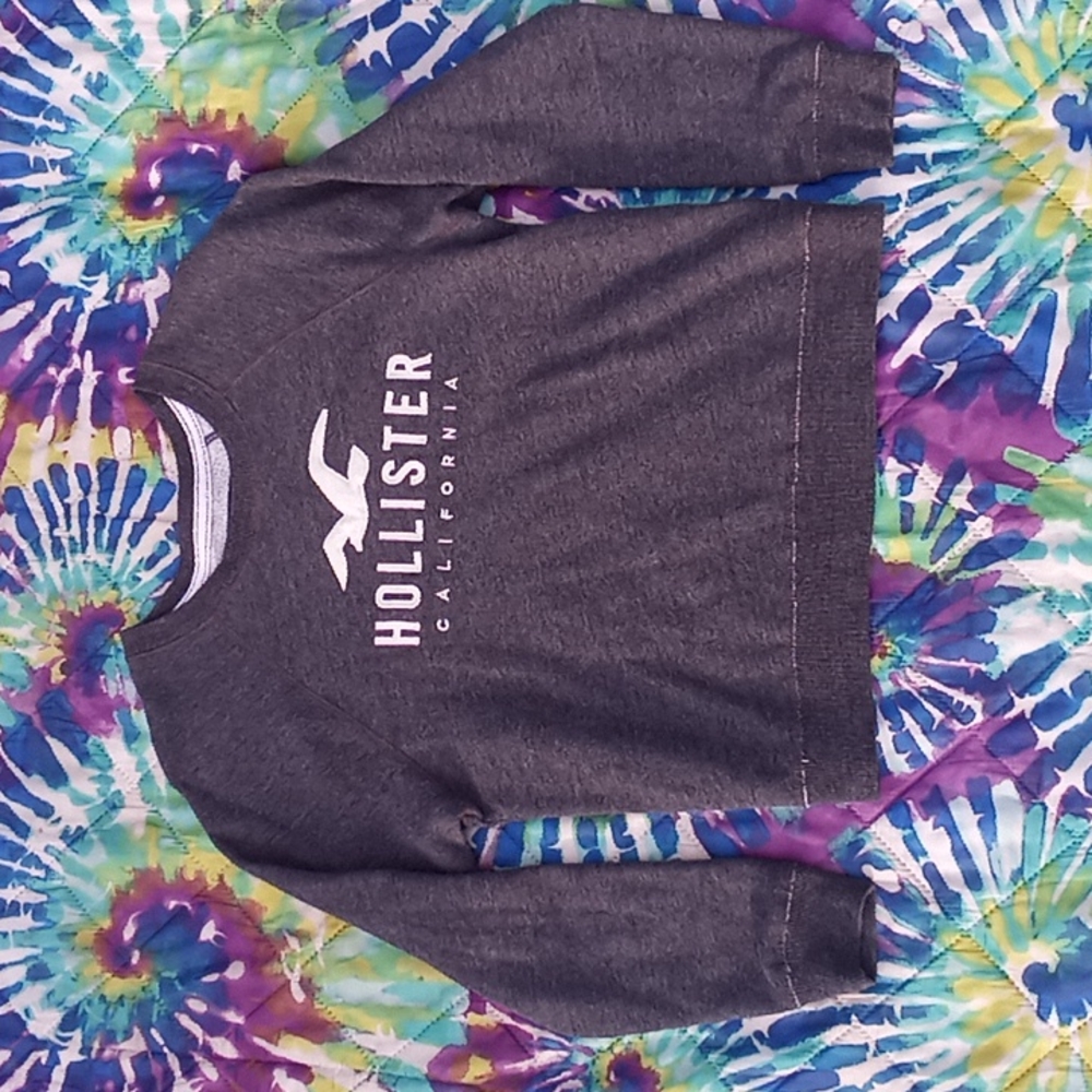 Hollister sweatshirt
